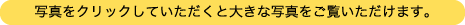 写真をクリックしていただくと大きな写真をご覧いただけます。 写真をクリックしていただくと大きな写真をご覧いただけます。