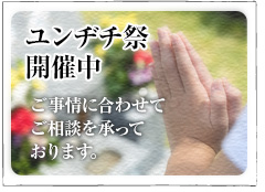 ユンヂチ祭開催中